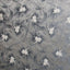 Kasmir Pegomas Pewter Fabric