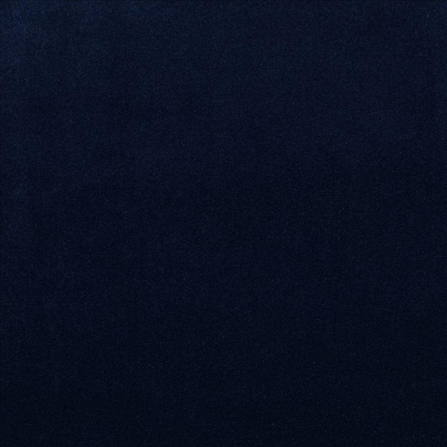 Kasmir Prelude Ink Fabric