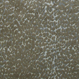 Kasmir Saboya Stone Fabric