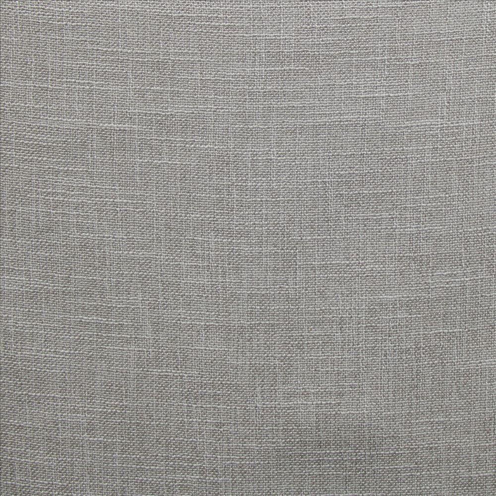 Kasmir Sari Platinum Fabric