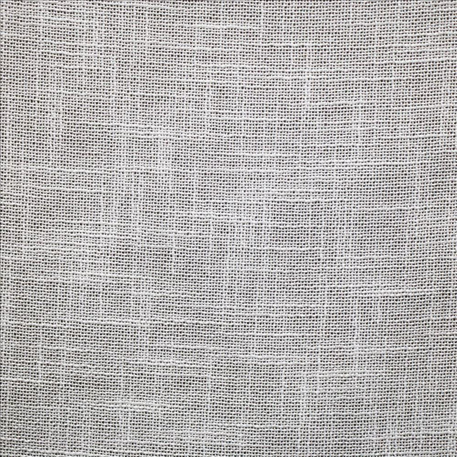 Kasmir Sari Swan Fabric