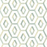 Stout CHUCKLE DEWKIST Fabric