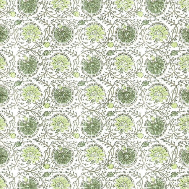 Stout GIBERTINI APPLE Fabric