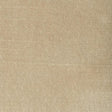 Stout BELGIUM CHAMPAGNE Fabric
