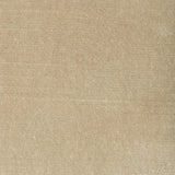 Stout BELGIUM CHAMPAGNE Fabric