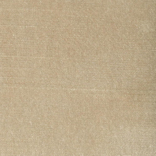 Stout BELGIUM CHAMPAGNE Fabric