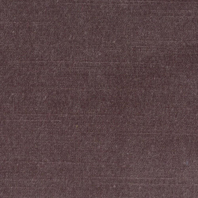 Stout BELGIUM PURPLE Fabric
