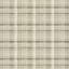 Stout IDENTITY PONGEE Fabric