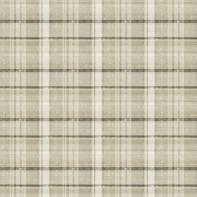 Stout IDENTITY PONGEE Fabric