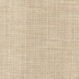 Stout ABLAZE NECTAR Fabric