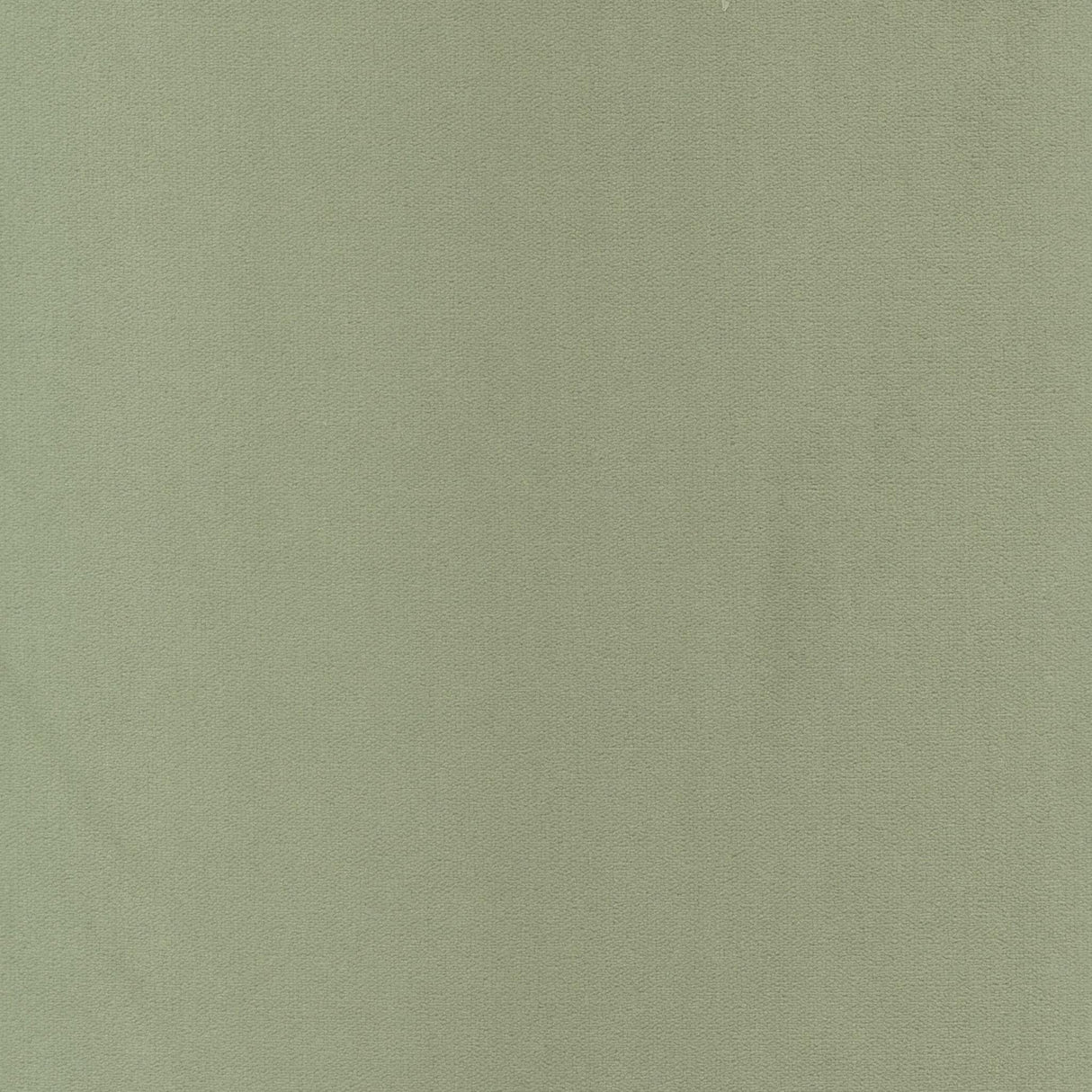 Stout TINKER SEAMIST Fabric