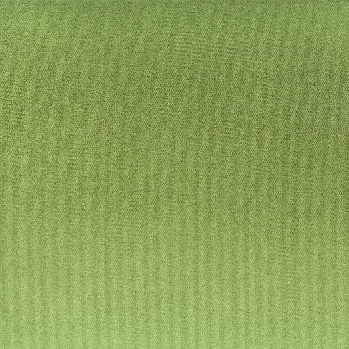 Stout TINKER BASIL Fabric