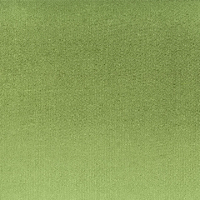 Stout TINKER BASIL Fabric