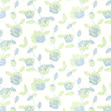 Stout UNLISTED BLUE Fabric