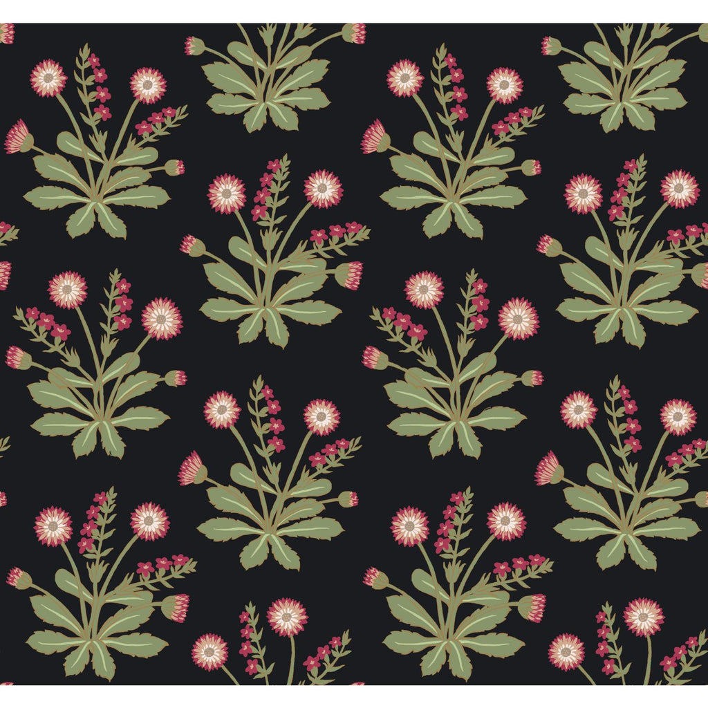 Ronald Redding Designs Meadow Flowers Black/Rose Wallpaper