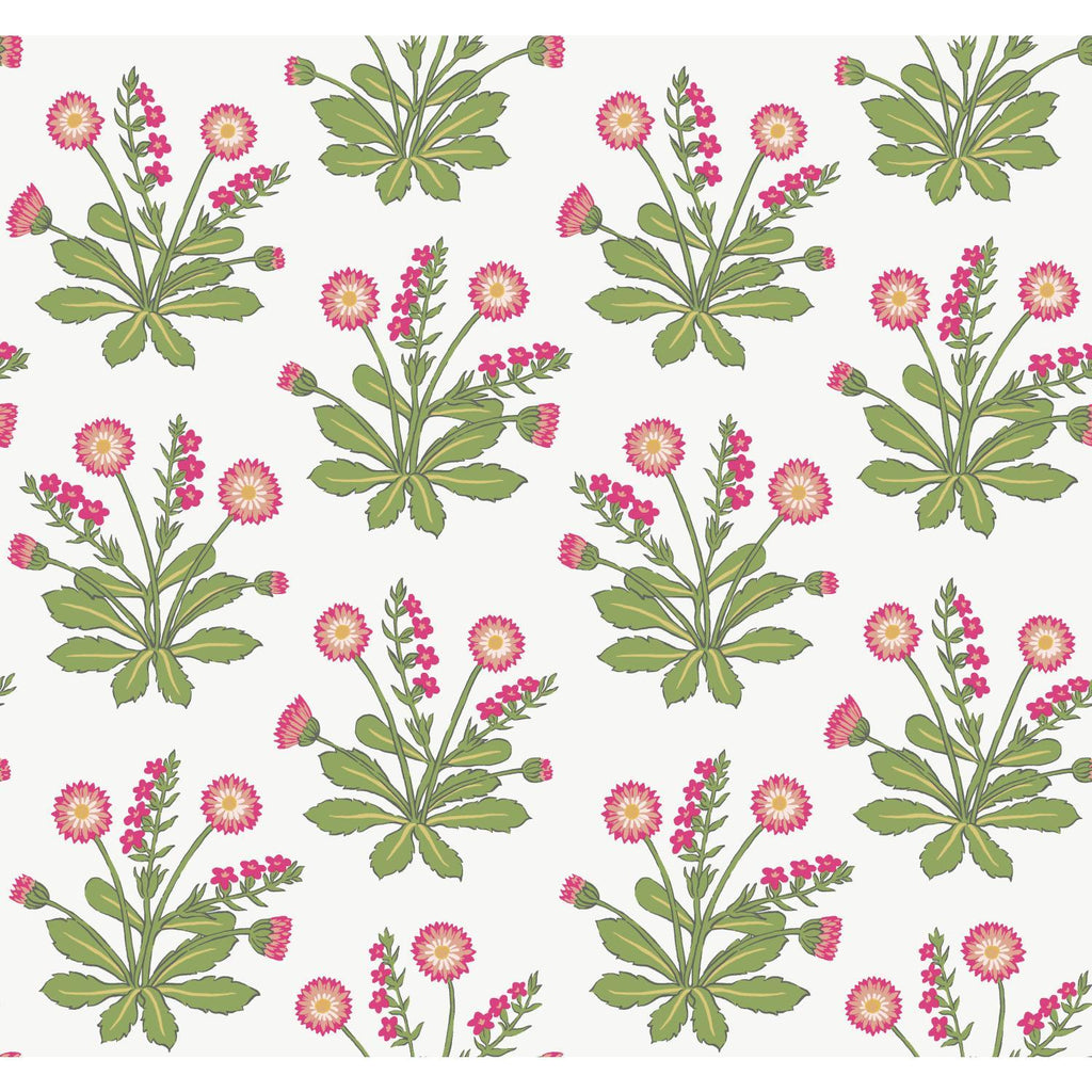 Ronald Redding Designs Meadow Flowers White/Rose Wallpaper