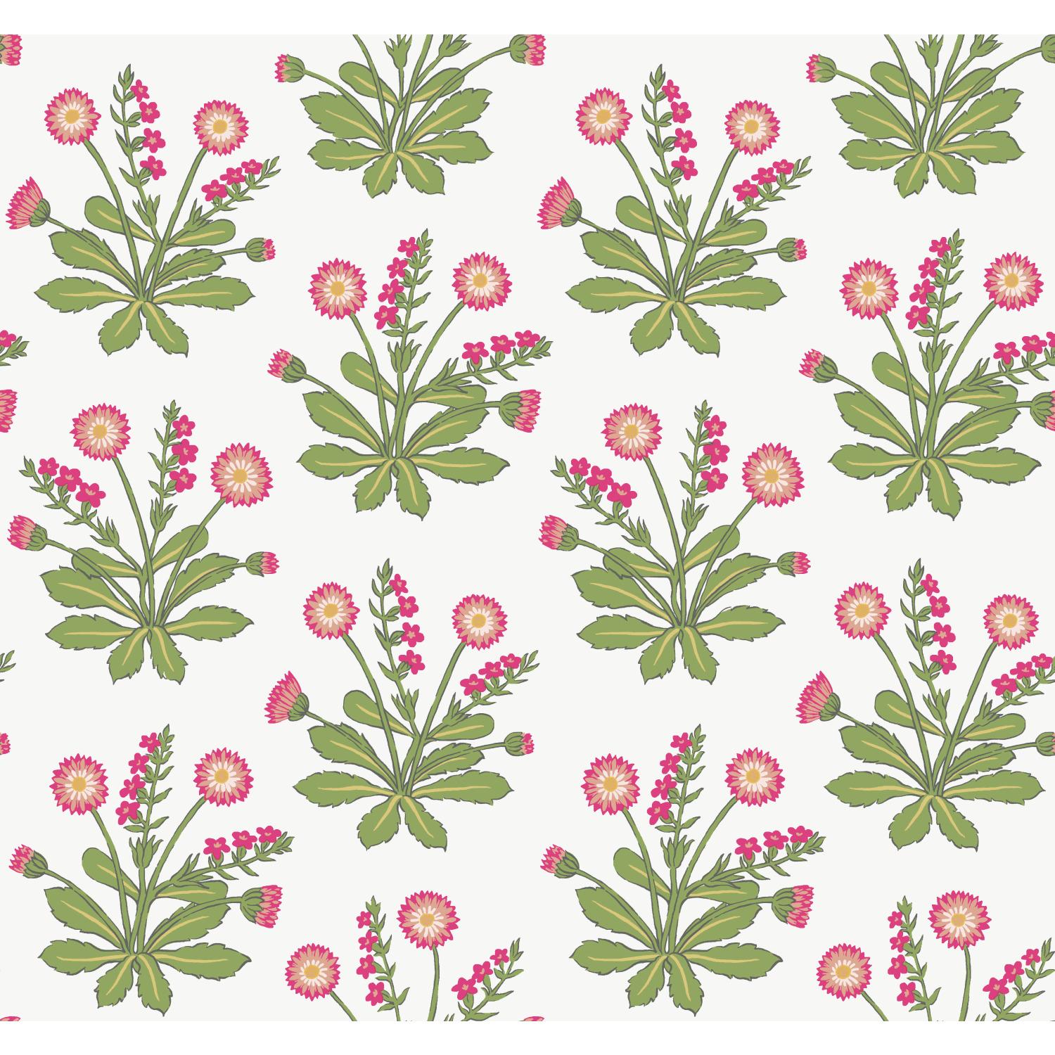 Ronald Redding Designs Meadow Flowers White/Rose Wallpaper | DecoratorsBest