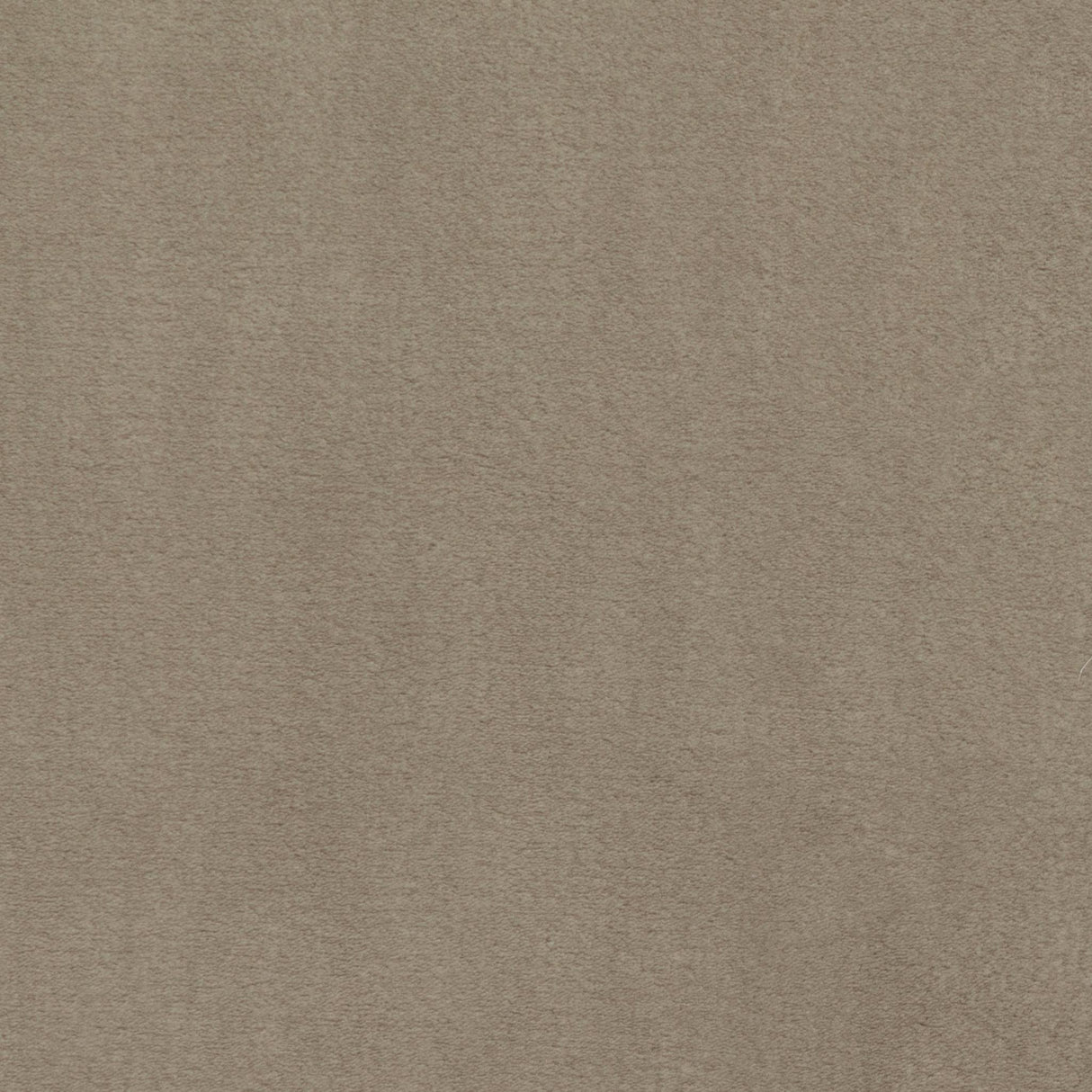Kravet PLUSHILLA BEIGE Upholstery Fabric