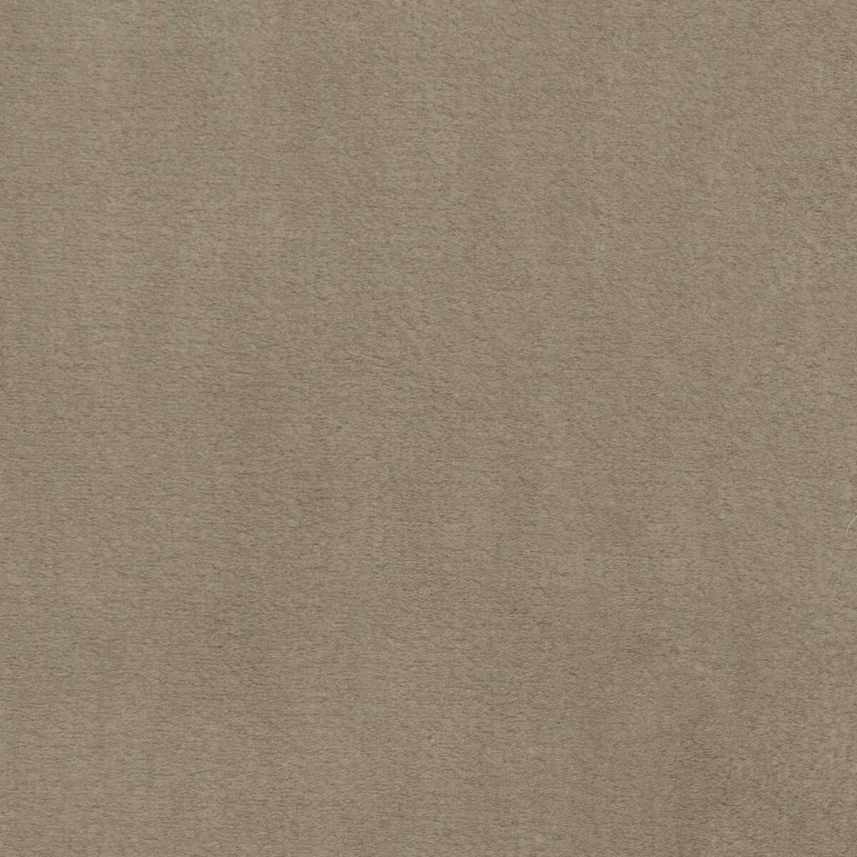 Kravet PLUSHILLA BEIGE Fabric