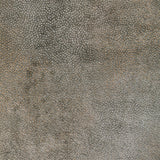 Kravet GILDED DUST TRUFFLE Upholstery Fabric