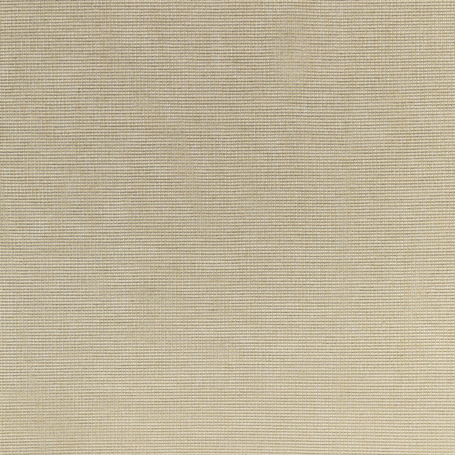 Kravet BASICS 4876 16 Drapery Fabric
