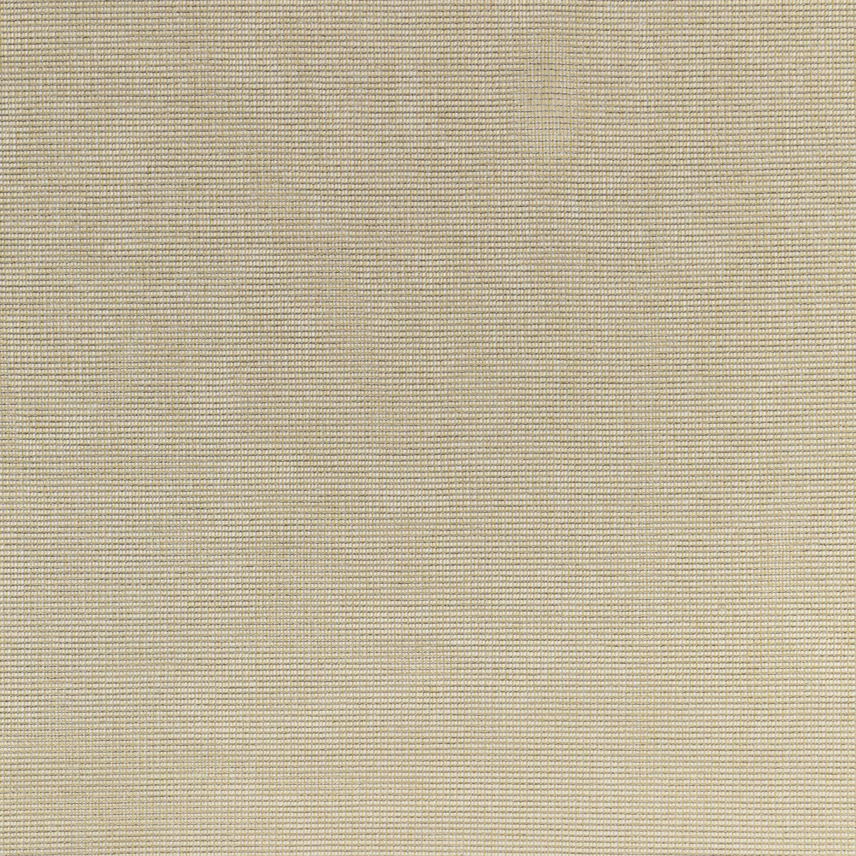 Kravet BASICS 4876 16 Drapery Fabric