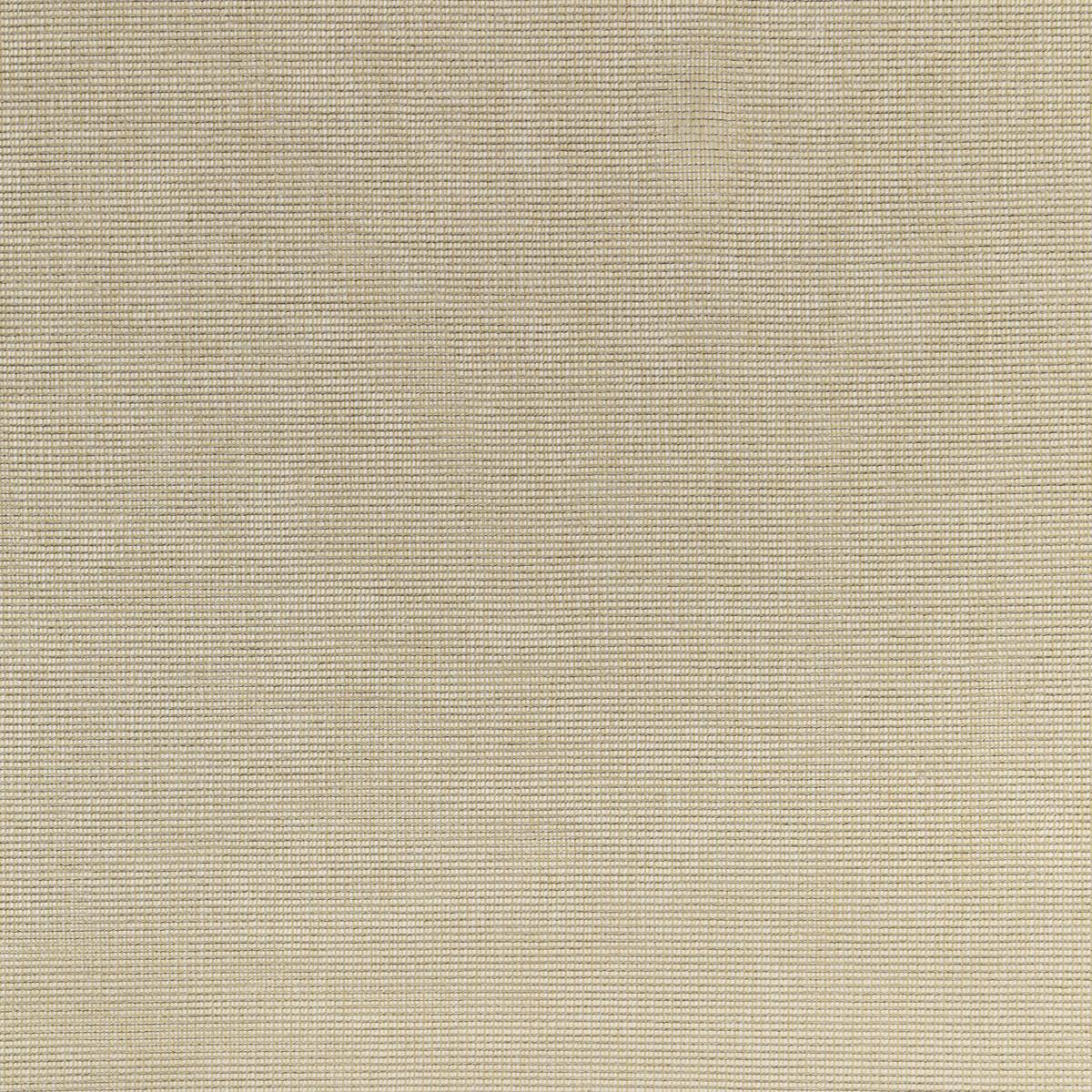 Kravet 4876 16 Fabric