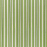Brunschwig & Fils ROUEN STRIPE GREEN Upholstery Fabric