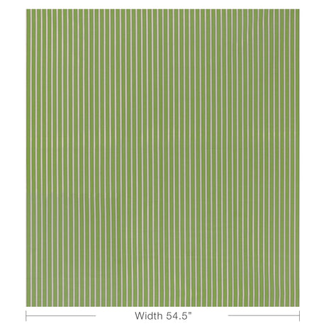 Brunschwig & Fils ROUEN STRIPE GREEN Upholstery Fabric