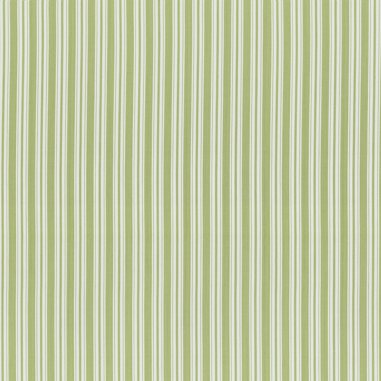 Brunschwig & Fils SELUNE STRIPE LEAF Upholstery Fabric