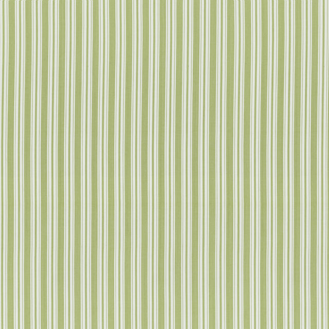 Brunschwig & Fils SELUNE STRIPE LEAF Upholstery Fabric