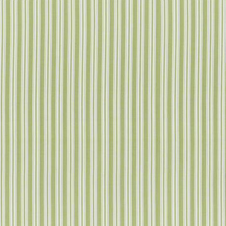 Brunschwig & Fils SELUNE STRIPE LEAF Upholstery Fabric