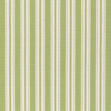 Brunschwig & Fils SELUNE STRIPE LEAF Upholstery Fabric