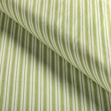 Brunschwig & Fils SELUNE STRIPE LEAF Upholstery Fabric