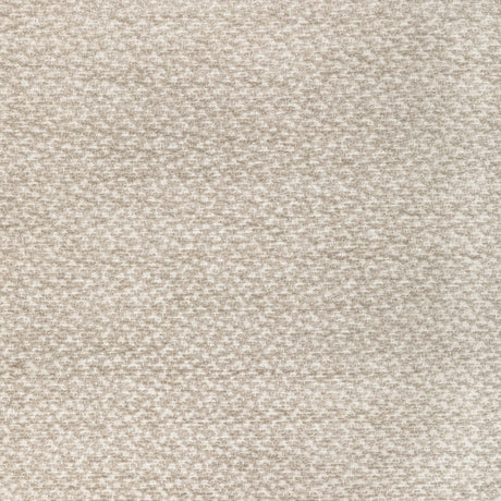 Brunschwig & Fils SASSON TEXTURE PEBBLE Upholstery Fabric