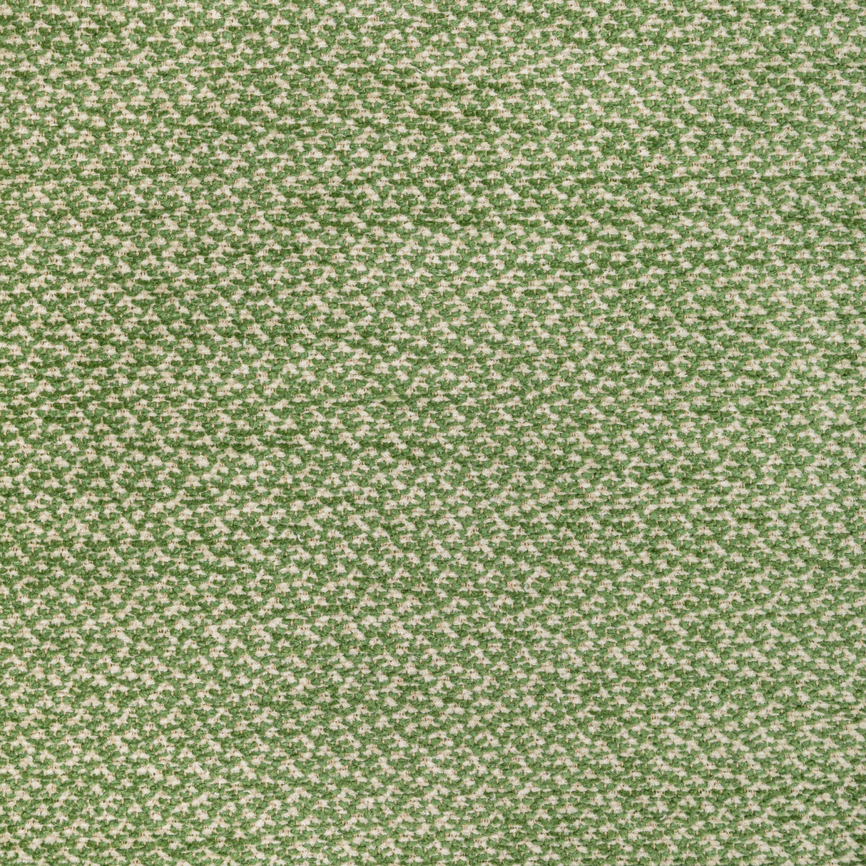 Brunschwig & Fils SASSON TEXTURE GREEN Upholstery Fabric