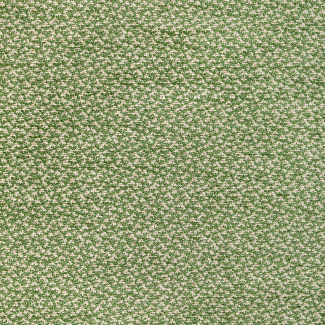Brunschwig & Fils SASSON TEXTURE GREEN Upholstery Fabric