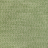 Brunschwig & Fils SASSON TEXTURE GREEN Upholstery Fabric