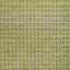 Brunschwig & Fils LANDIERS TEXTURE LEAF Upholstery Fabric