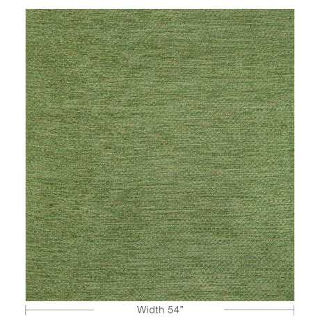 Brunschwig & Fils BISSY TEXTURE GREEN Upholstery Fabric