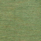 Brunschwig & Fils ROBERTY TEXTURE GREEN Upholstery Fabric