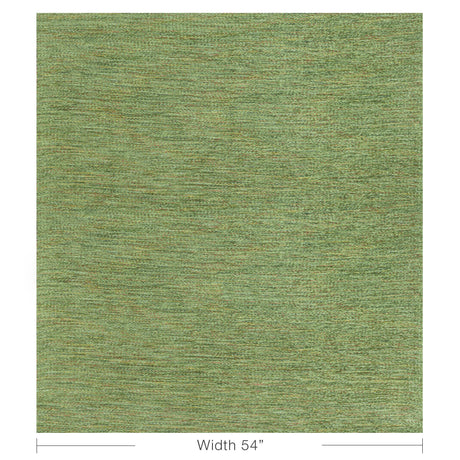 Brunschwig & Fils ROBERTY TEXTURE GREEN Upholstery Fabric