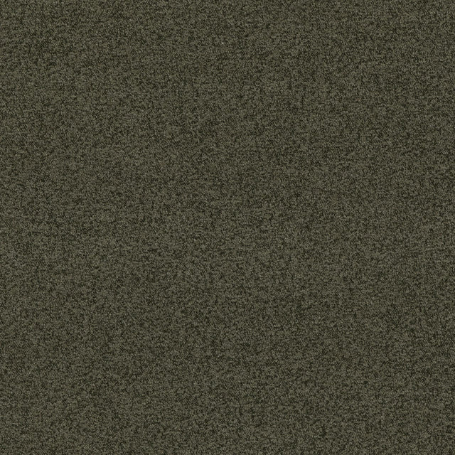 G P & J Baker BAKER HOUSE BOUCLE FOREST Fabric