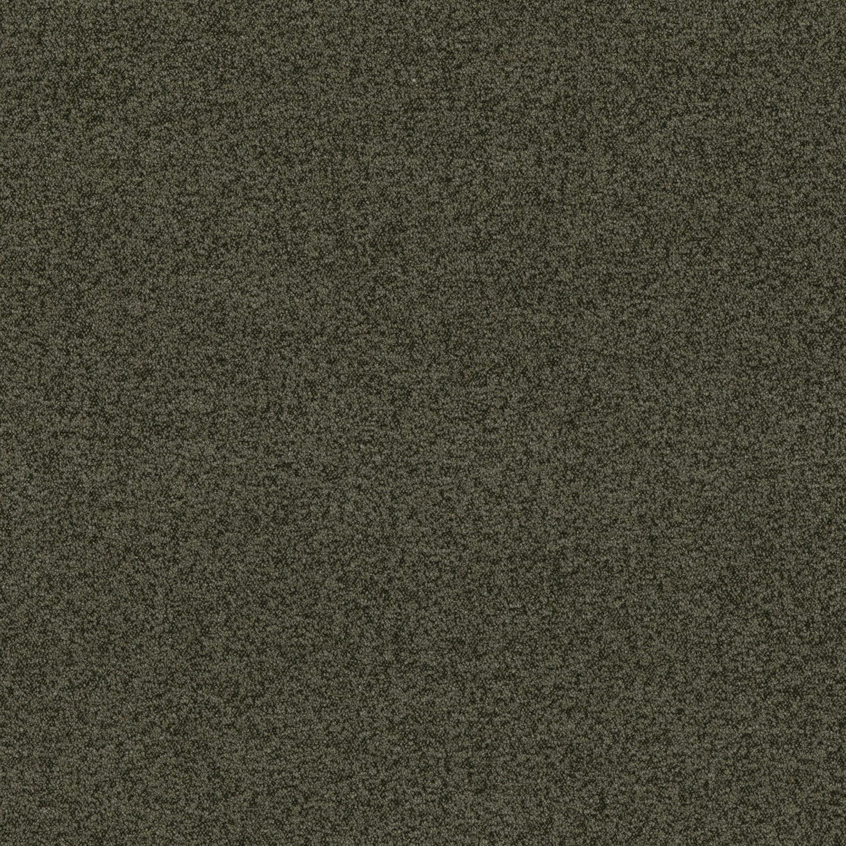 G P & J Baker BAKER HOUSE BOUCLE FOREST Fabric