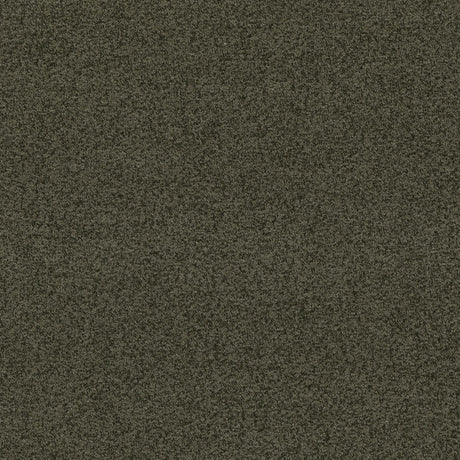 G P & J Baker BAKER HOUSE BOUCLE FOREST Fabric