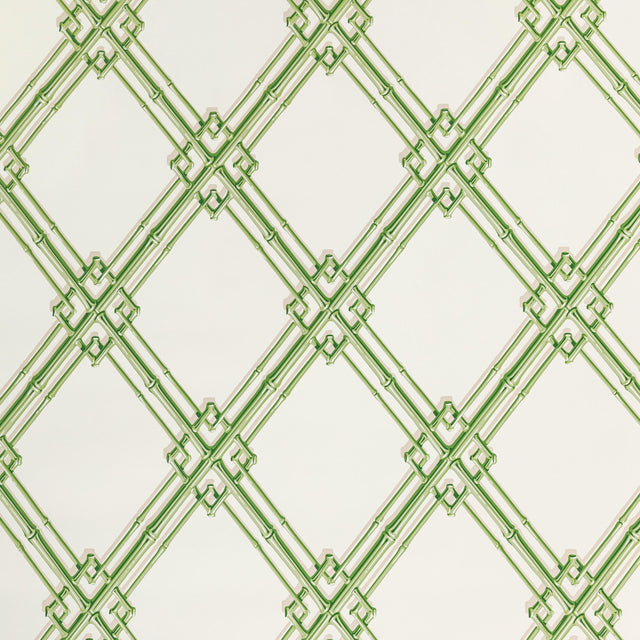 Brunschwig & Fils TREILLAGE DE BAMBOU LEAF Wallpaper