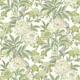 G P & J Baker SUMMER PEONY GREEN Wallpaper