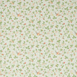 Clarke & Clarke WILD STRAWBERRY DOVE LINEN Fabric