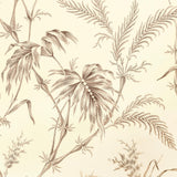 Brunschwig & Fils LAUZIERE TAUPE Wallpaper