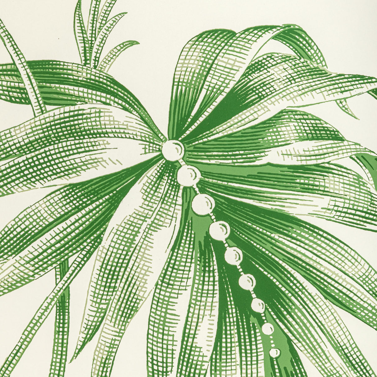 Brunschwig & Fils LAUZIERE GREEN Wallpaper